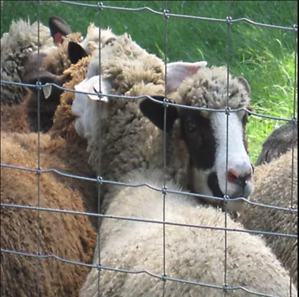 Bekaert Sheep and Goat 30 1348-4 12.5 ga 330'